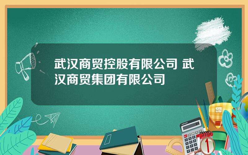 武汉商贸控股有限公司 武汉商贸集团有限公司